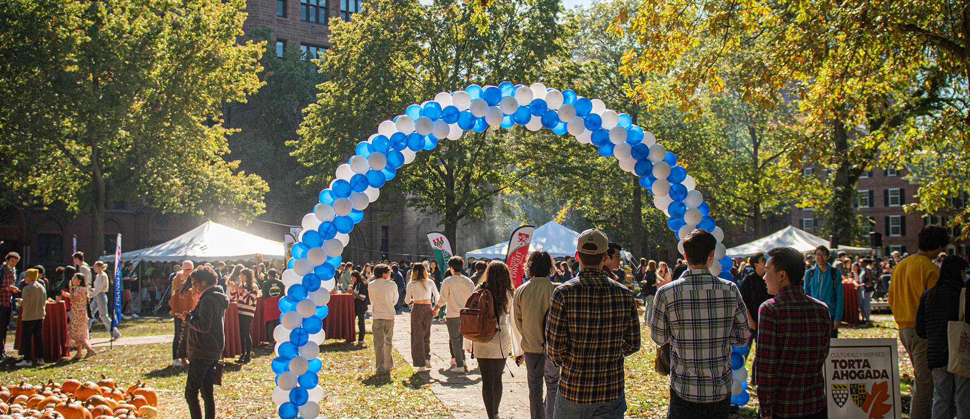 Students walking under a balloon arch in yale colors in a sunny courtyard