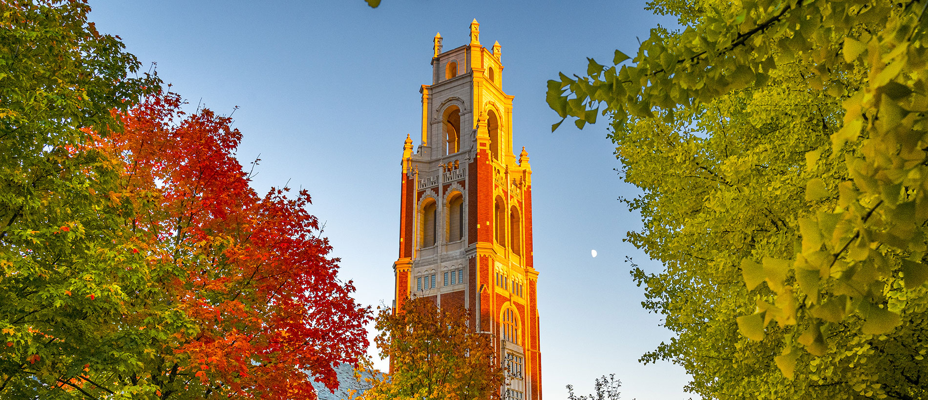 Sunshine and red trees surrounding the Yale clocktower