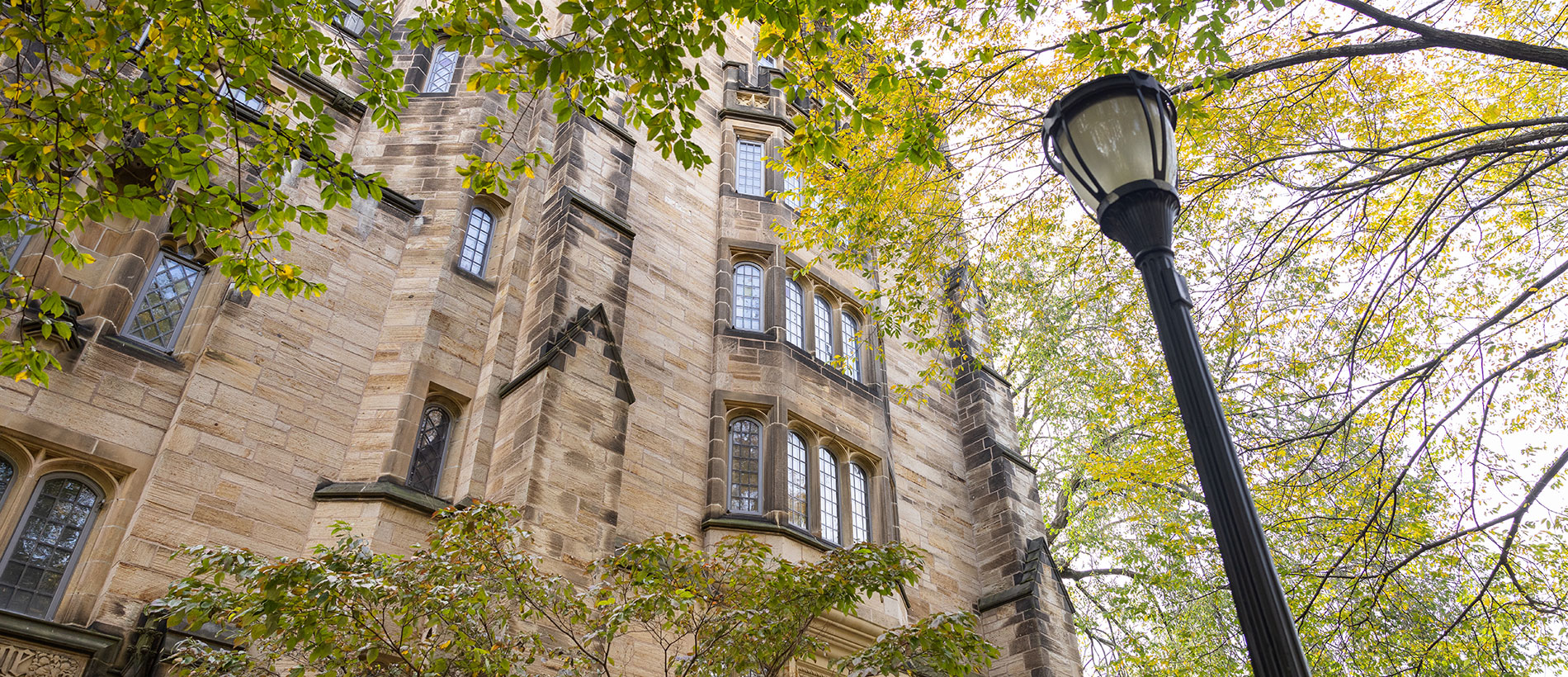 Yale stone building with leafy trees and lamppost