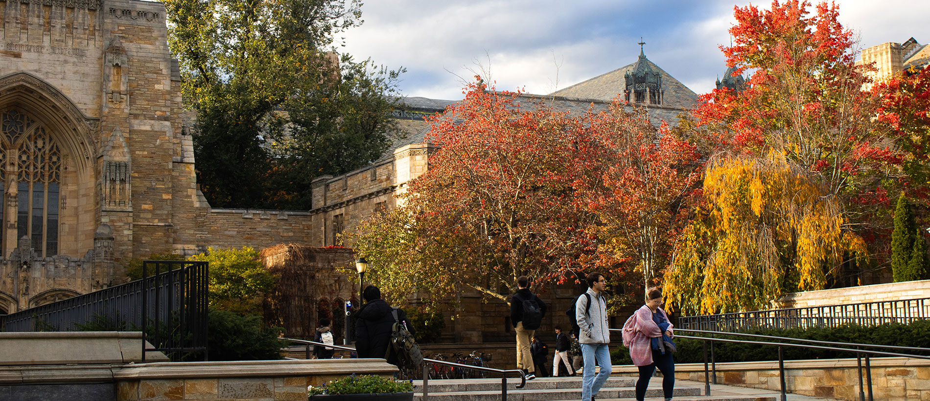 Students descending steps with autumn leaves in the background