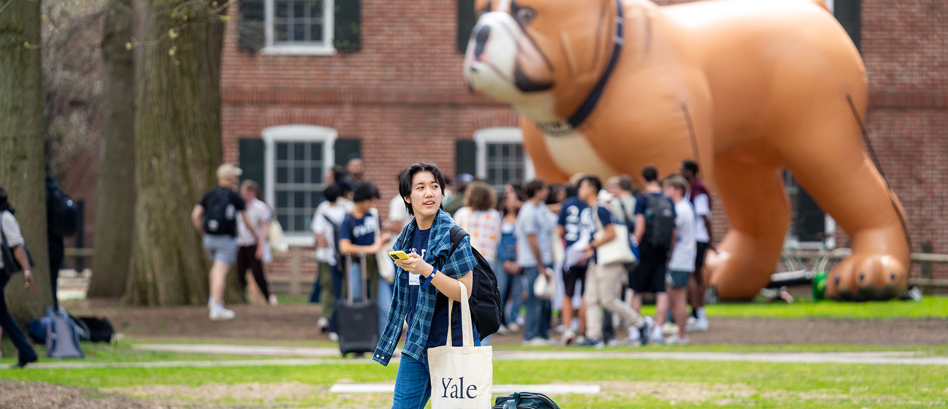 Young person with Yale totebag walking through campus with large inflatable bulldog int he background