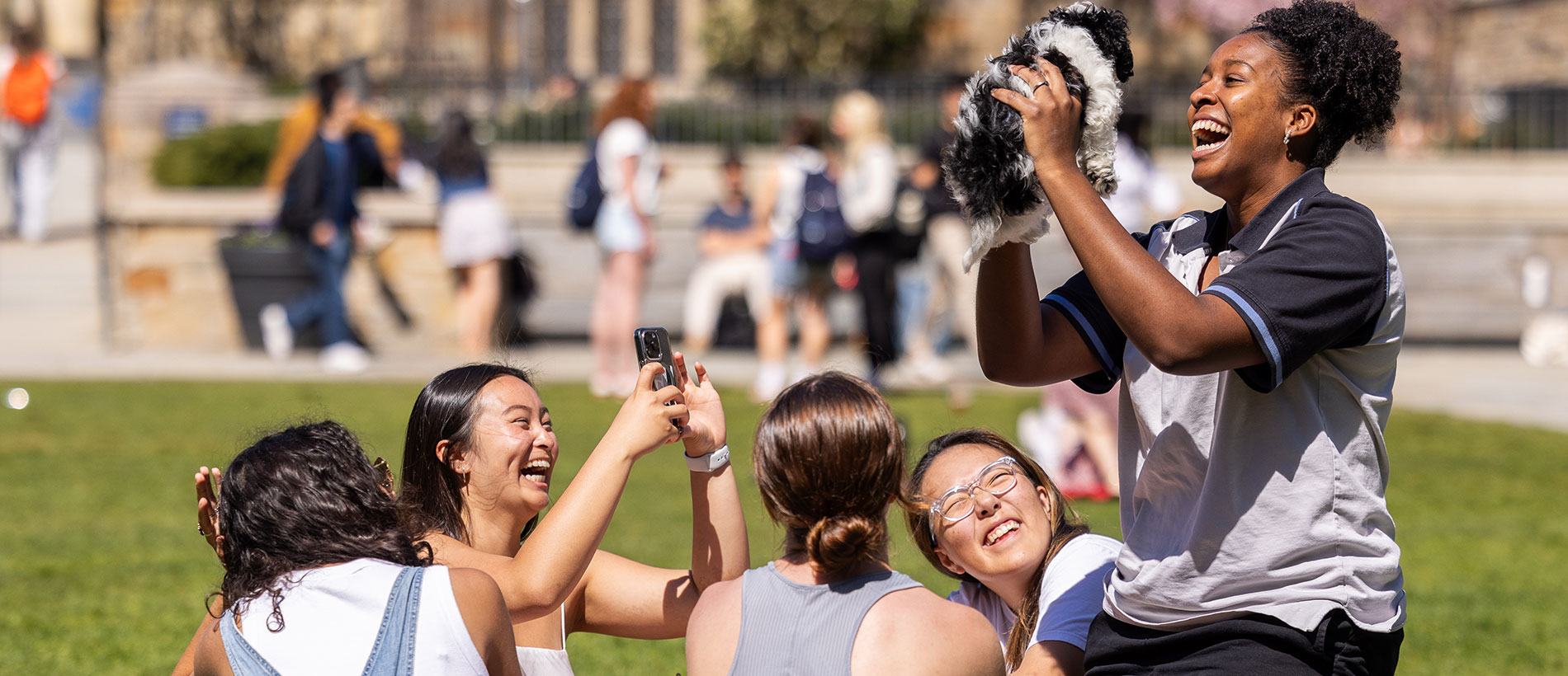 Yale students in courtyard playing with a puppy